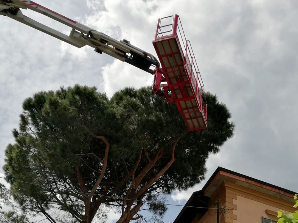 Manutenzione aree verdi